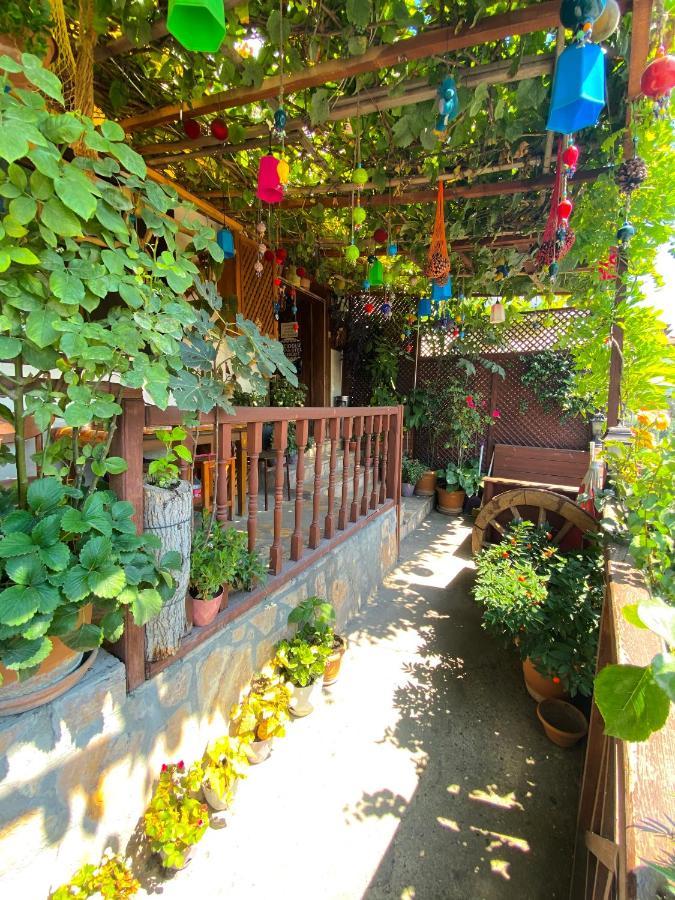 Avcioglu Konak Otel Safranbolu Zewnętrze zdjęcie